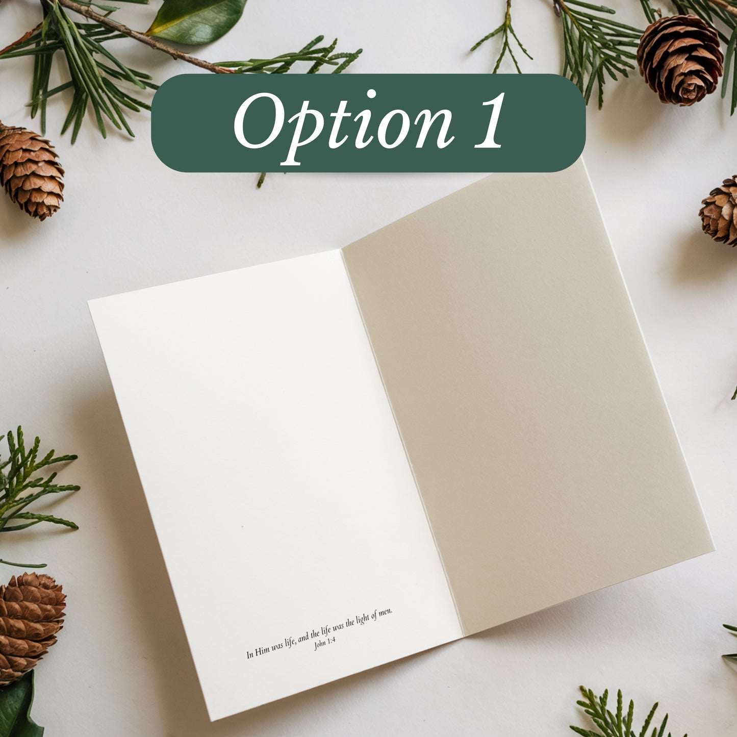 Open book with a Christmas-themed cover featuring greenery and pinecones on a white background.