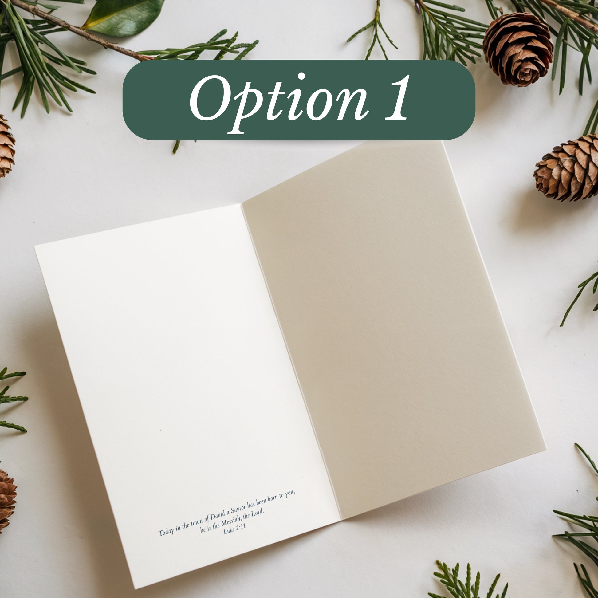 Open card with text on a white surface surrounded by greenery and pine cones