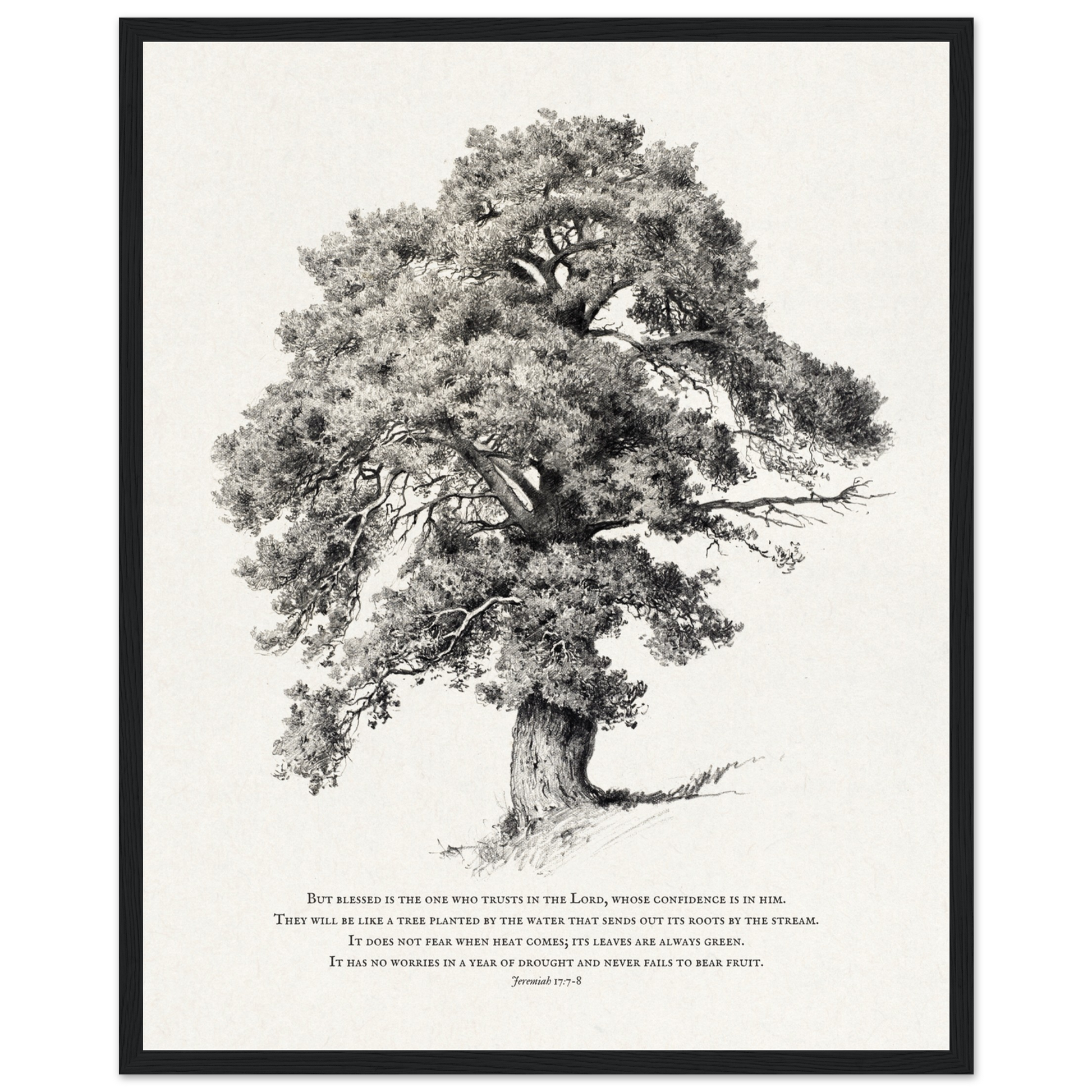 50807496-1723-4079-8bdc-0f53fd14cbd4