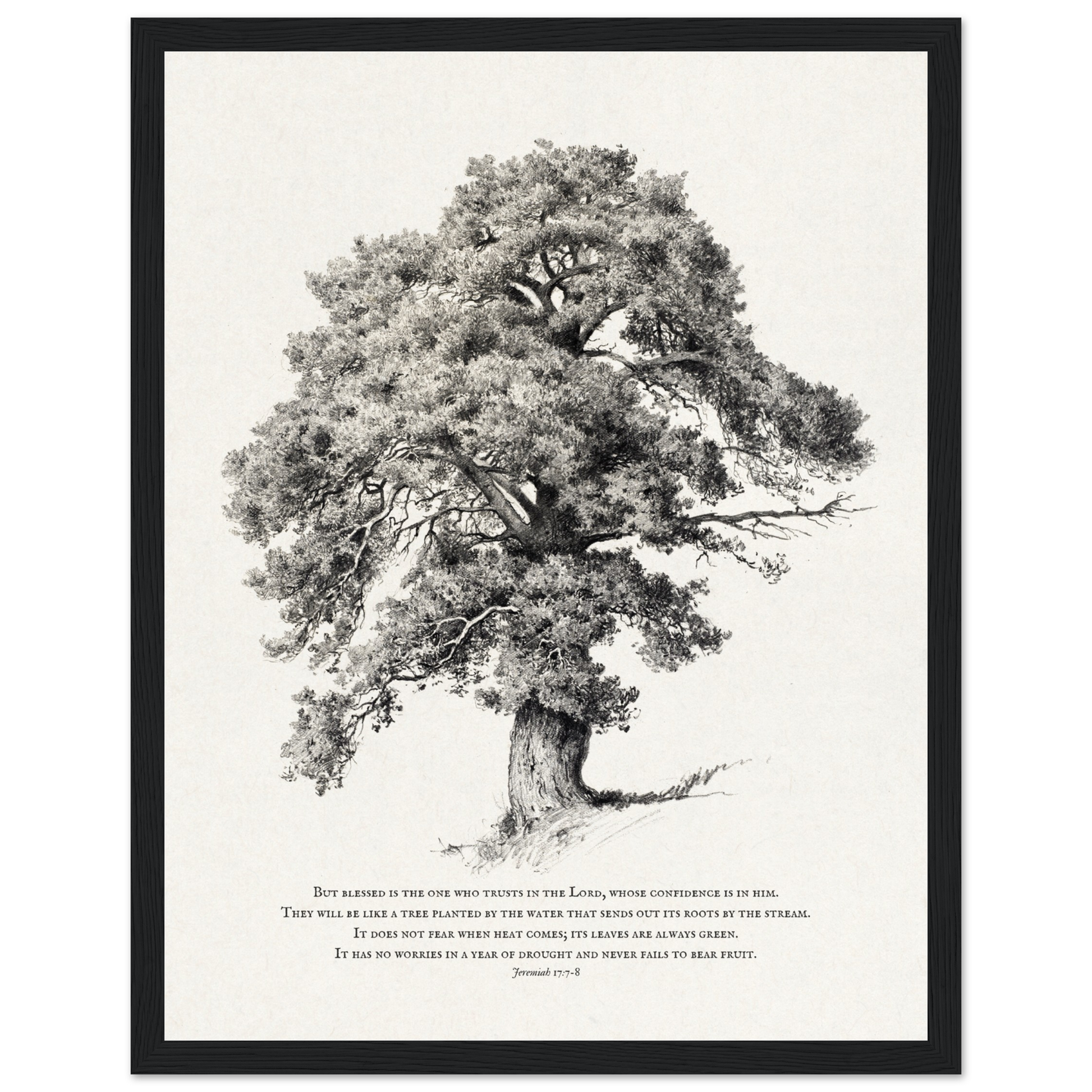 52646286-dae2-4cd2-8e56-f28365064a4c