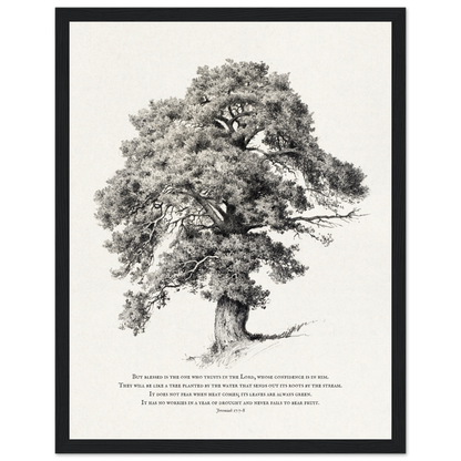 52646286-dae2-4cd2-8e56-f28365064a4c