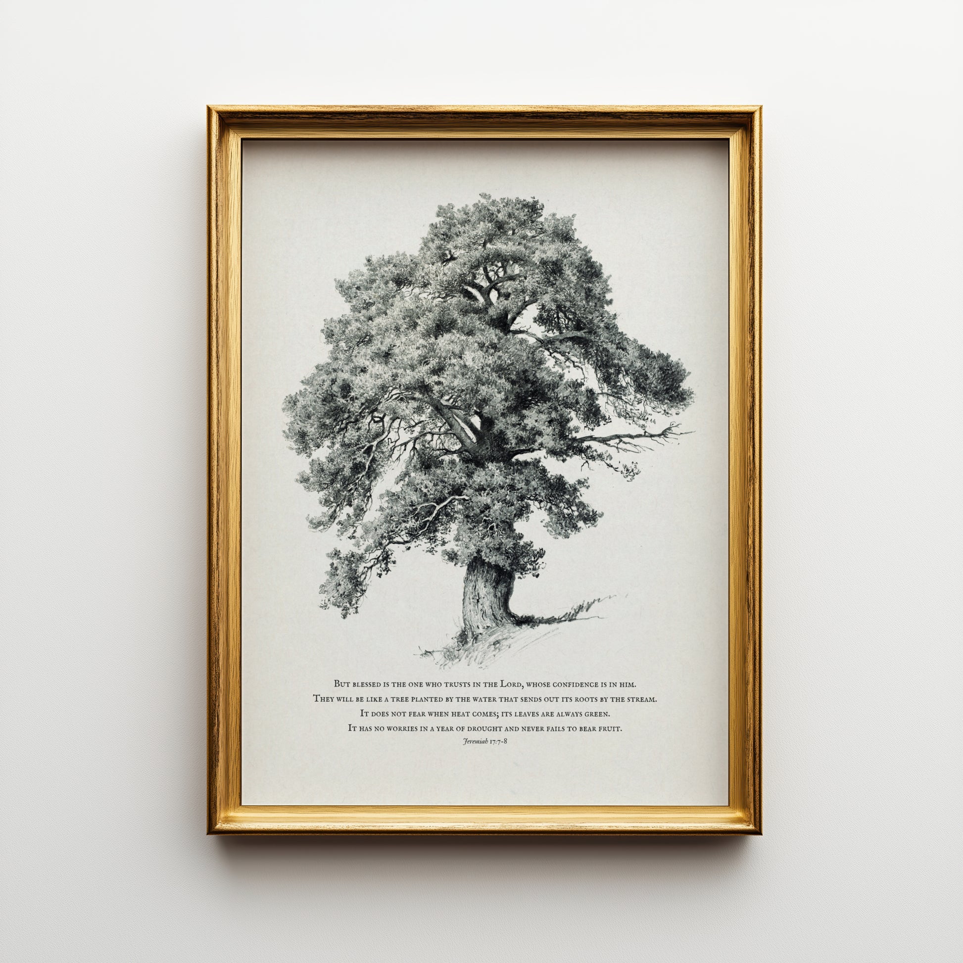 Framed black and white tree illustration on a light background