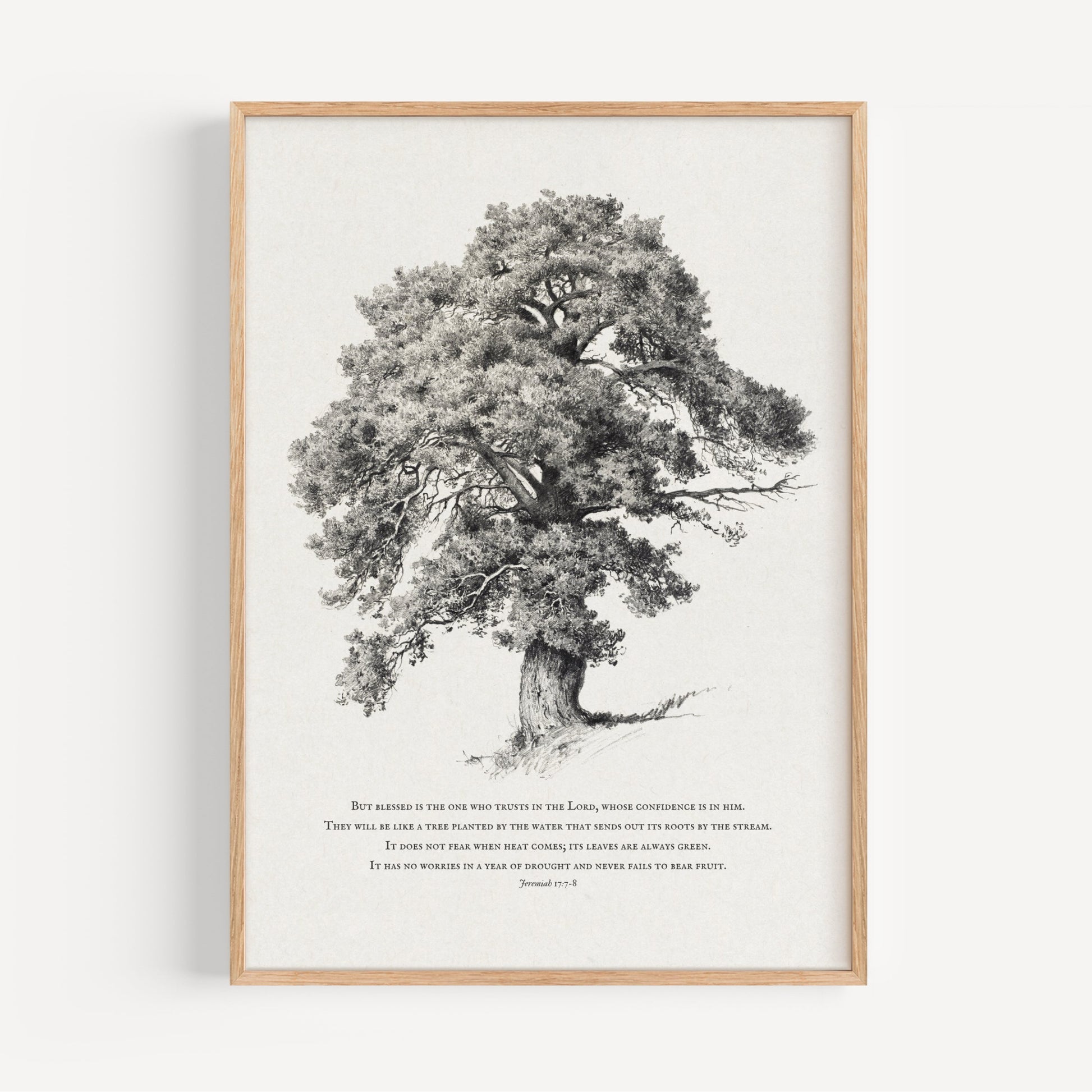 Framed black and white tree illustration on a white background