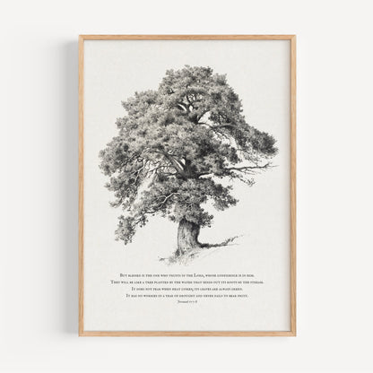 Framed black and white tree illustration on a white background